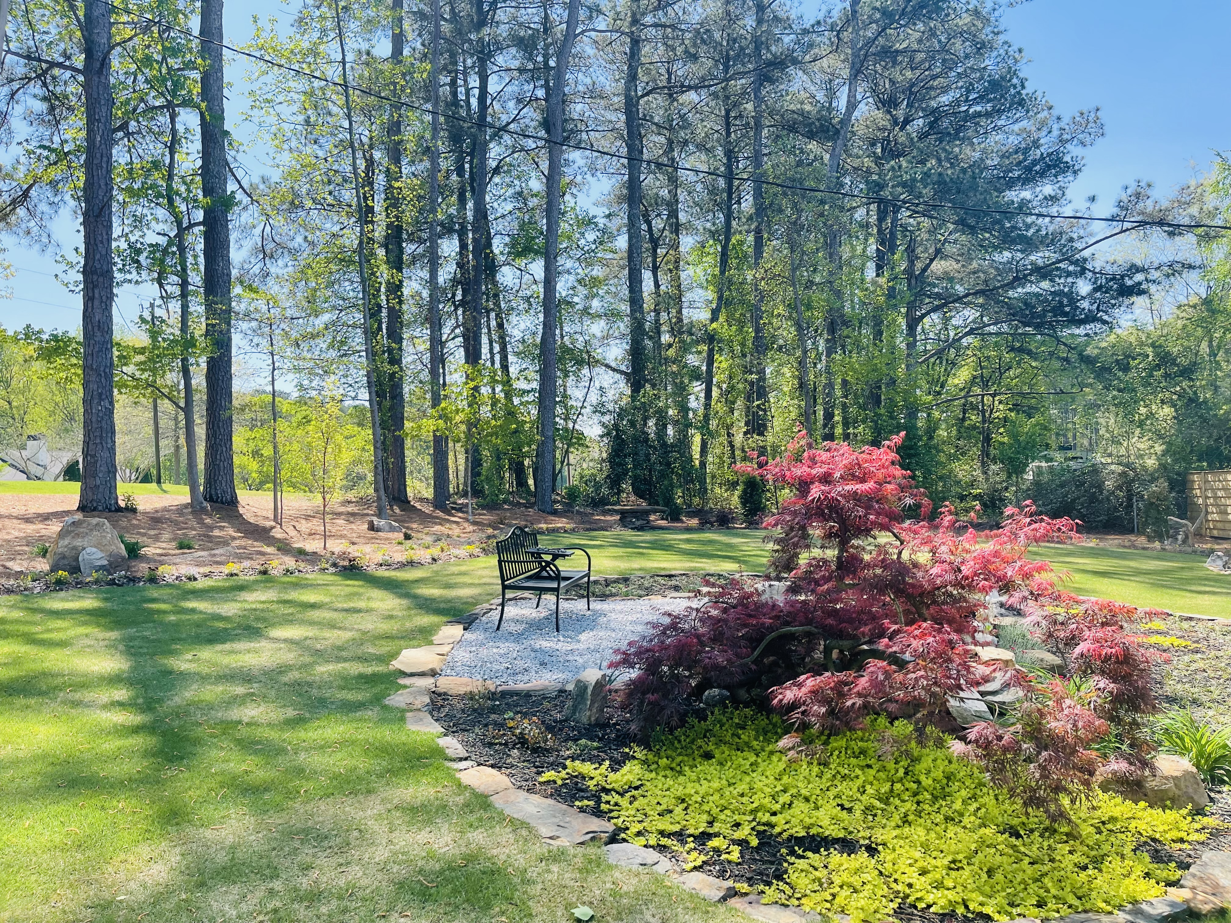 Garden seating area with Japanese maple