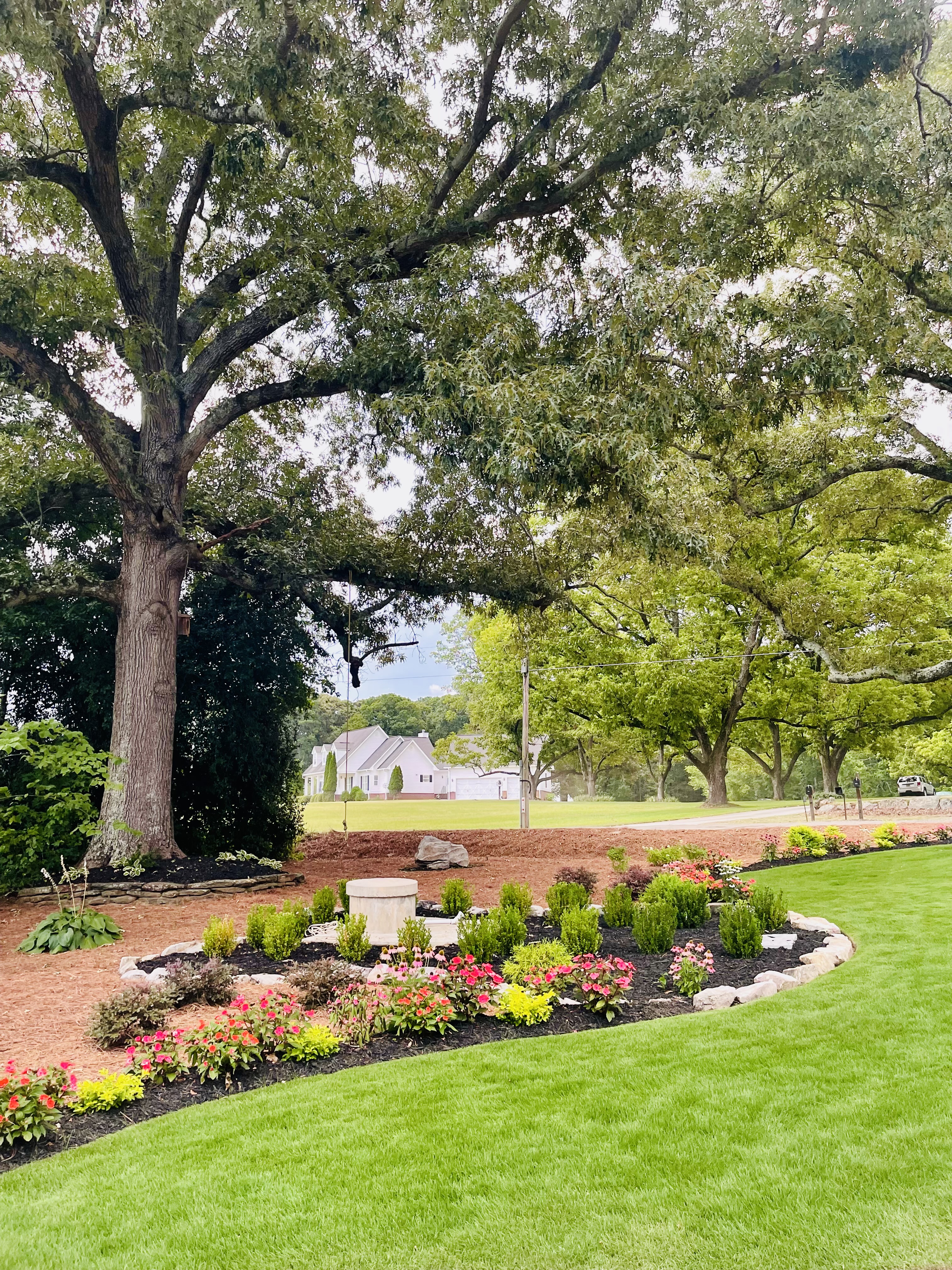 Professional landscape installation with plants and pine straw